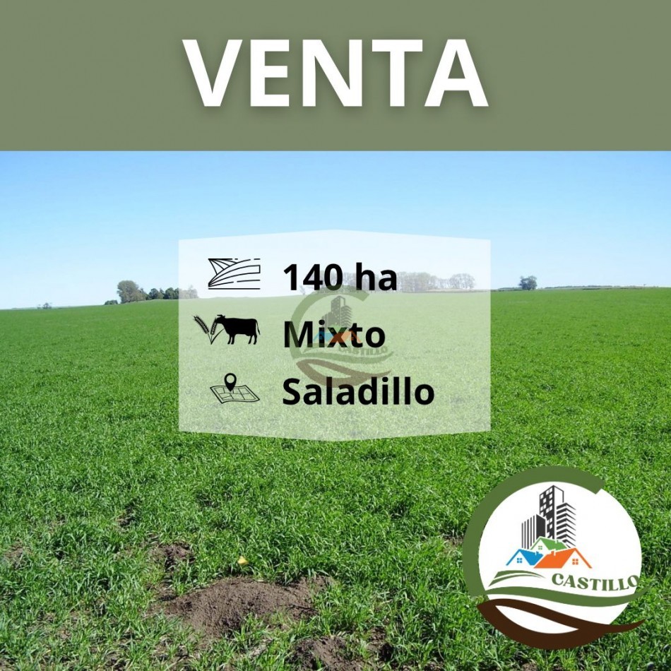140 ha Mixto - Saladillo