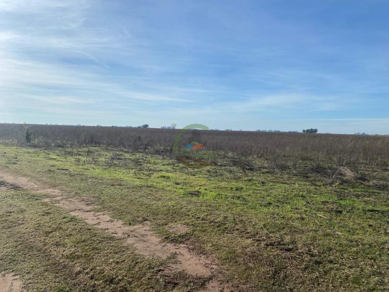 38 Ha Agricolas - Bolivar
