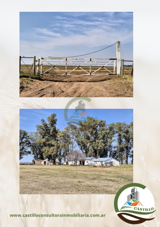 1917 ha mixto - gral alvear