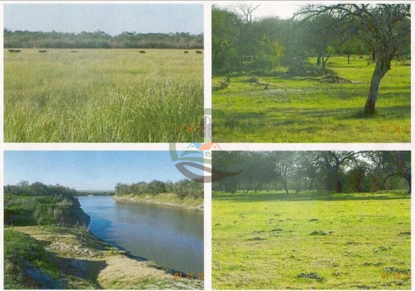 1350 ha Mixta - ROSARIO DE TALA ENTRE RIOS ALTAMIRANO NORTE