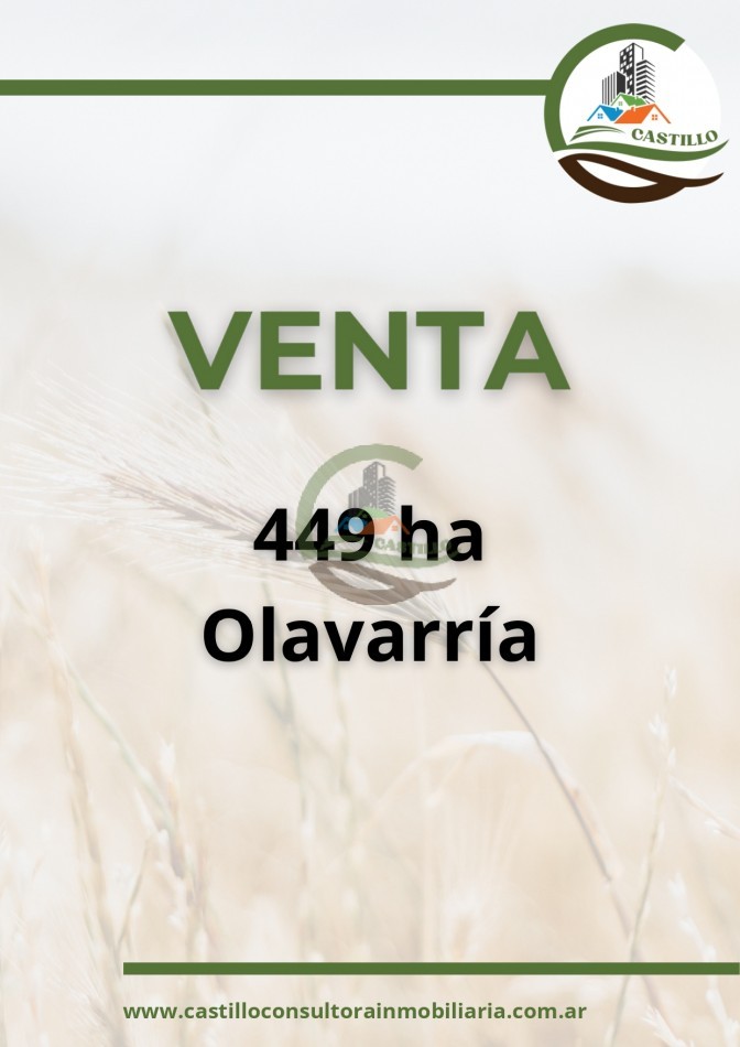449 ha mixtas - olavarria