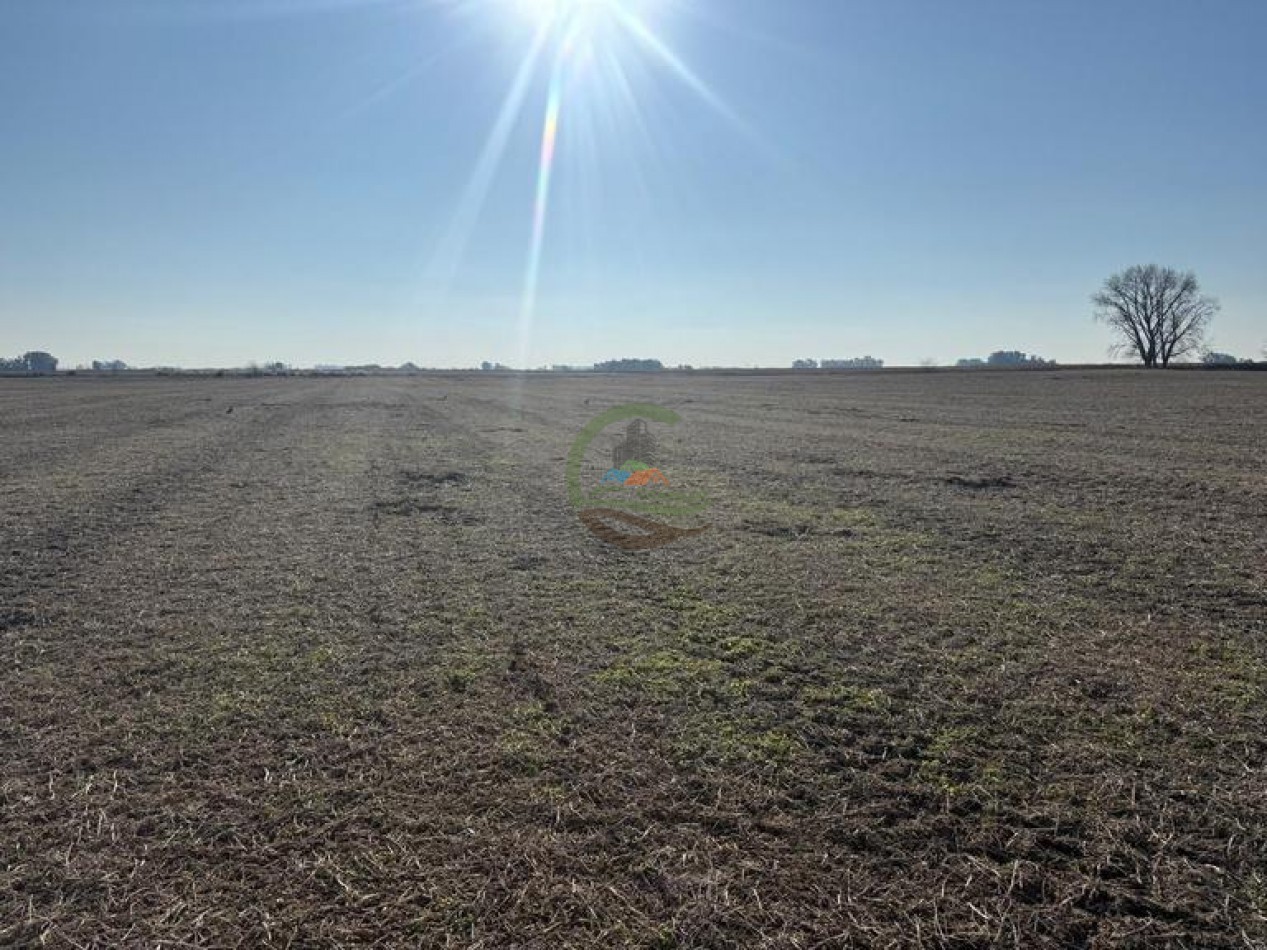 50 Ha Agricolas - Herrera Vegas