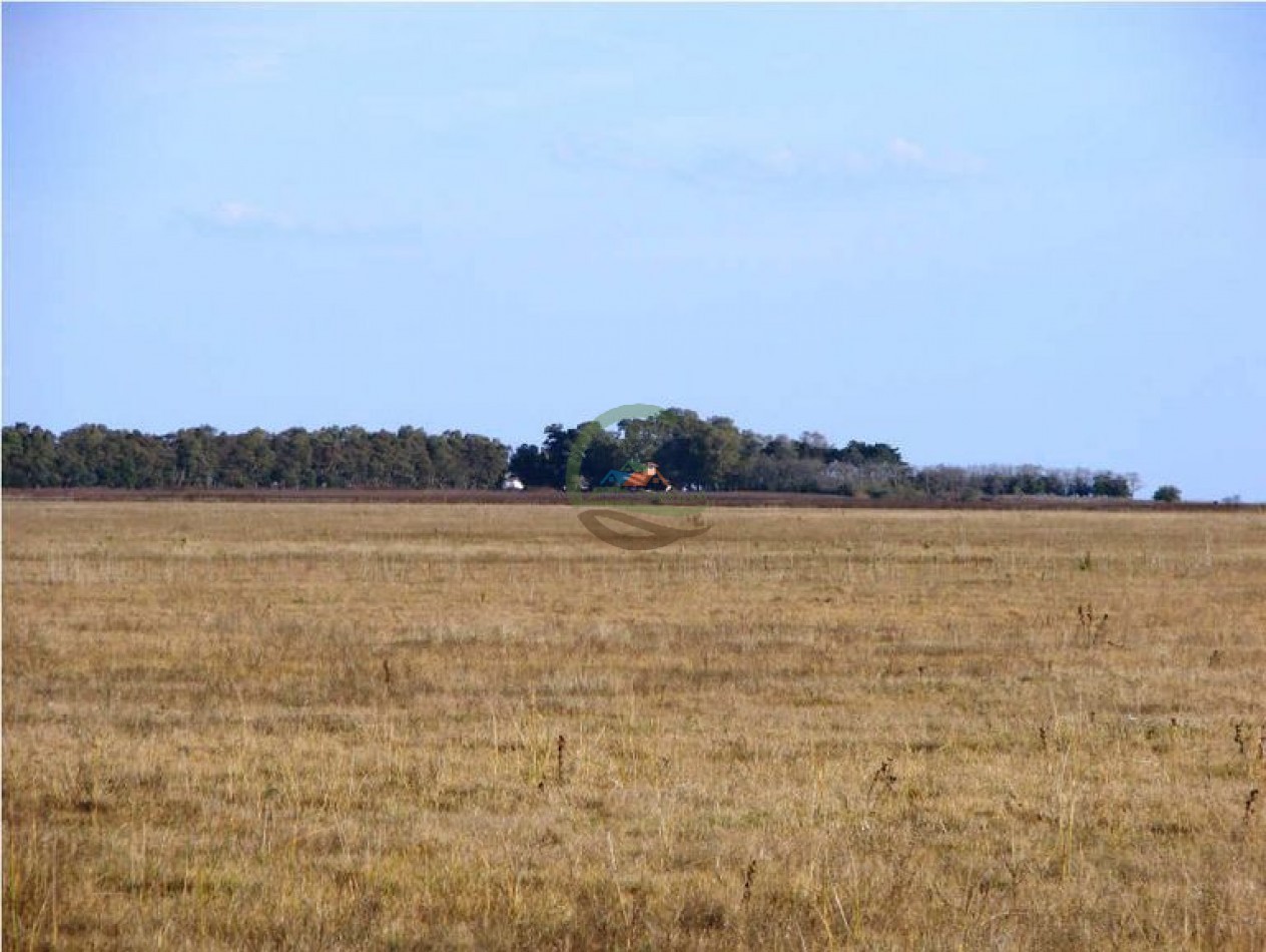 1320 Ha Ganadero - Dolores