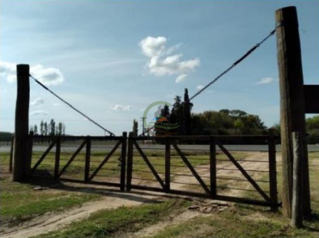 975 Ha Agricolas - San Antonio de Areco