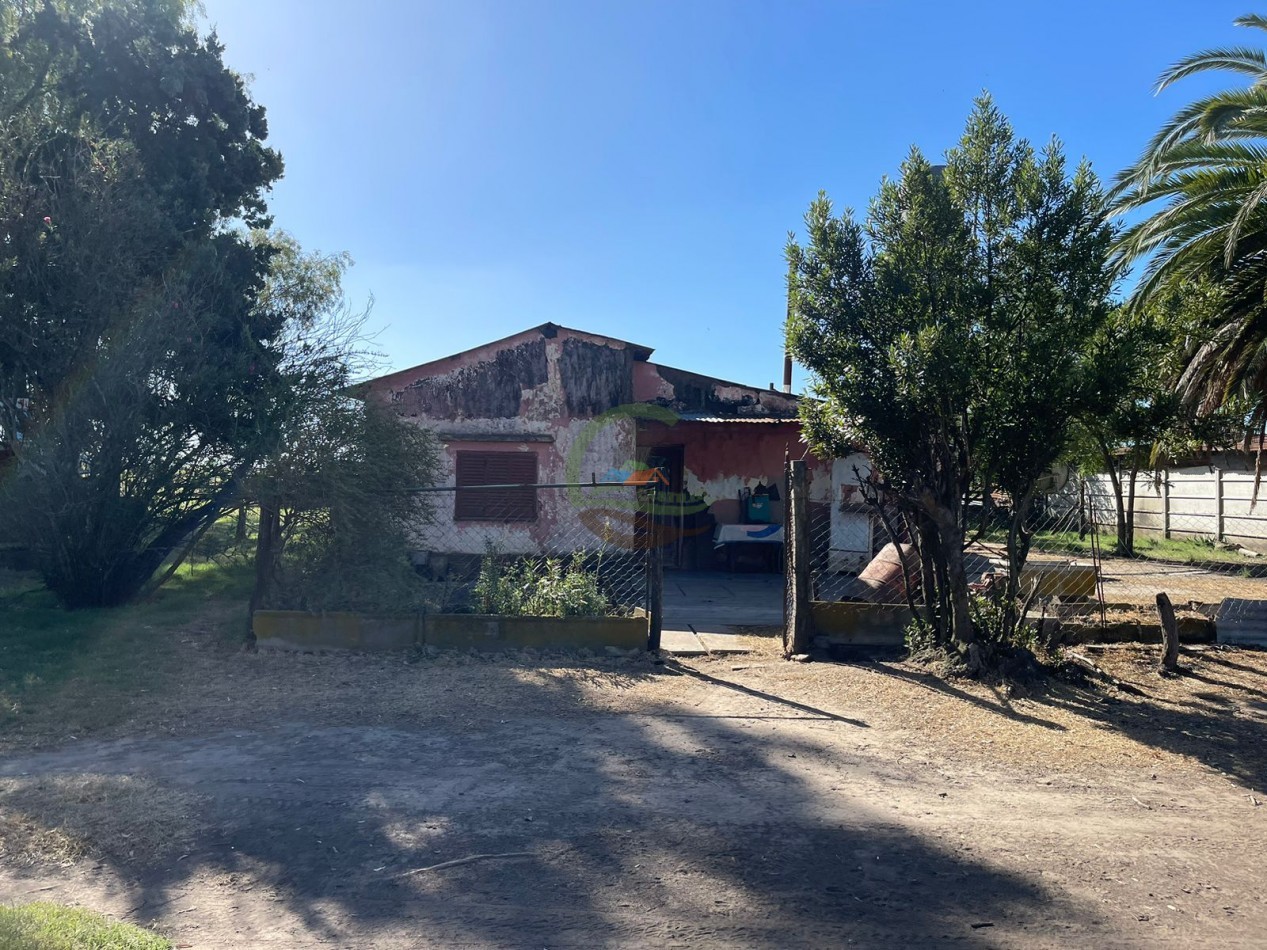 81 ha Mixto - Alvear