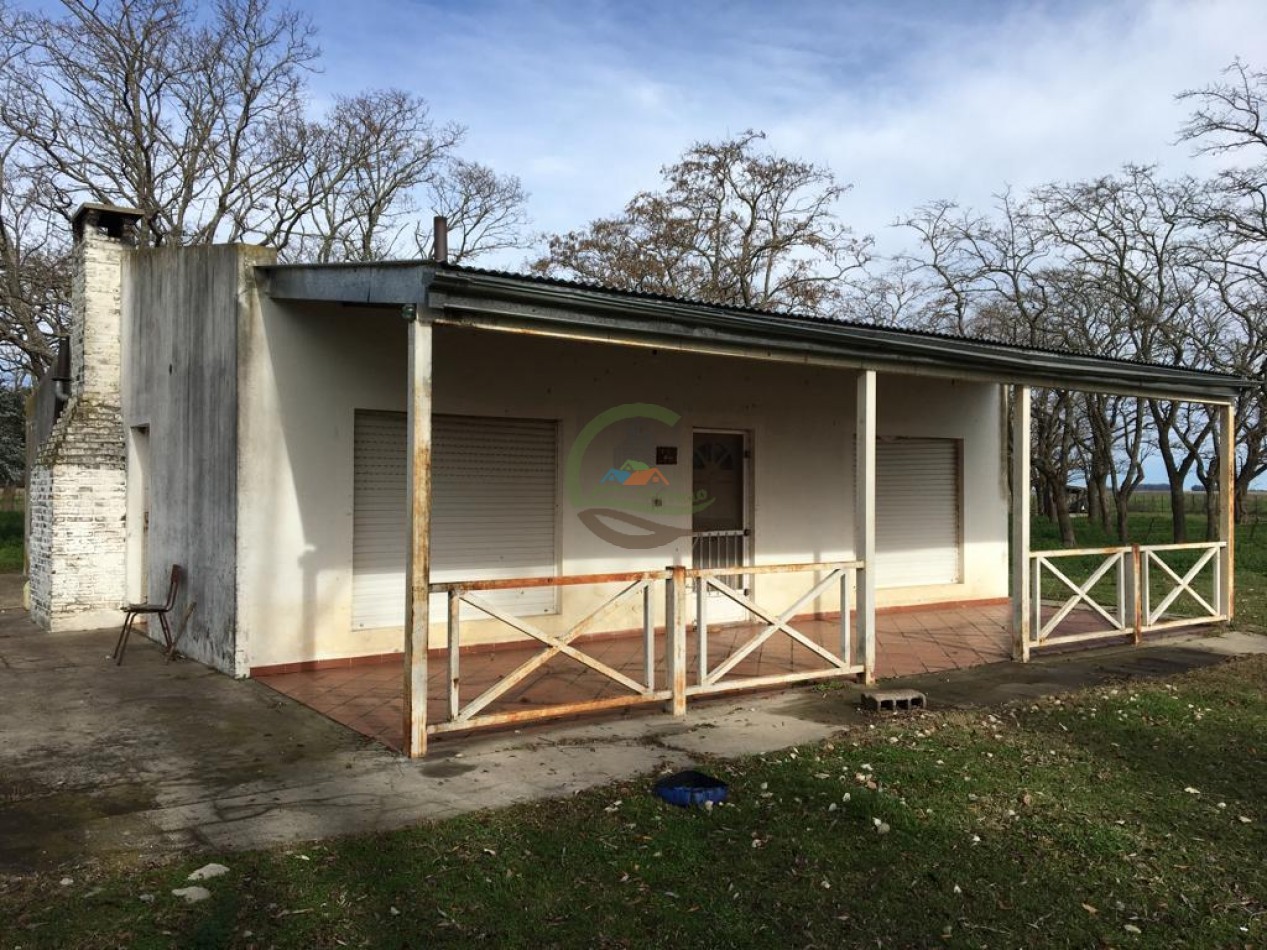 380 ha Mixtas - Bolivar