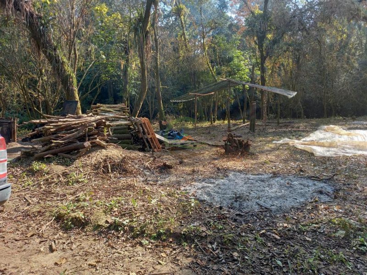 360 Ha Mixto - Santa Lucia - Tucuman