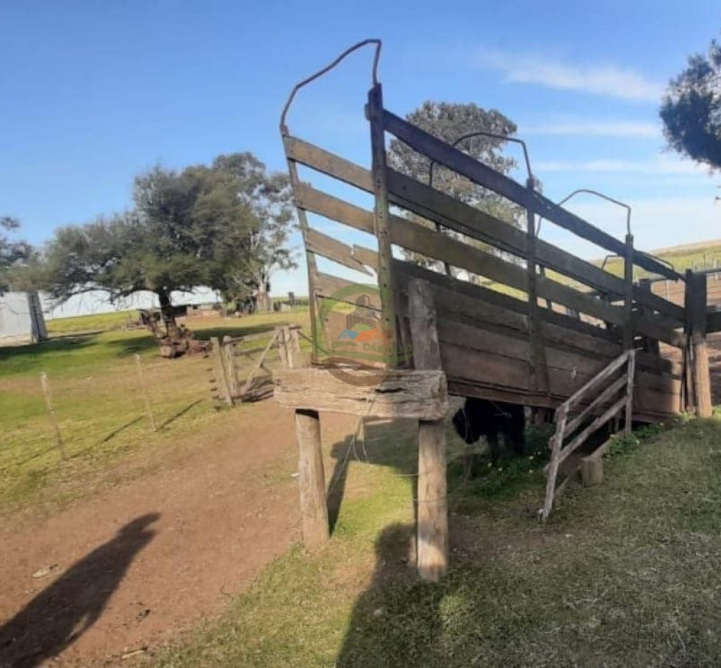 360 ha Mixtas - Tornquist