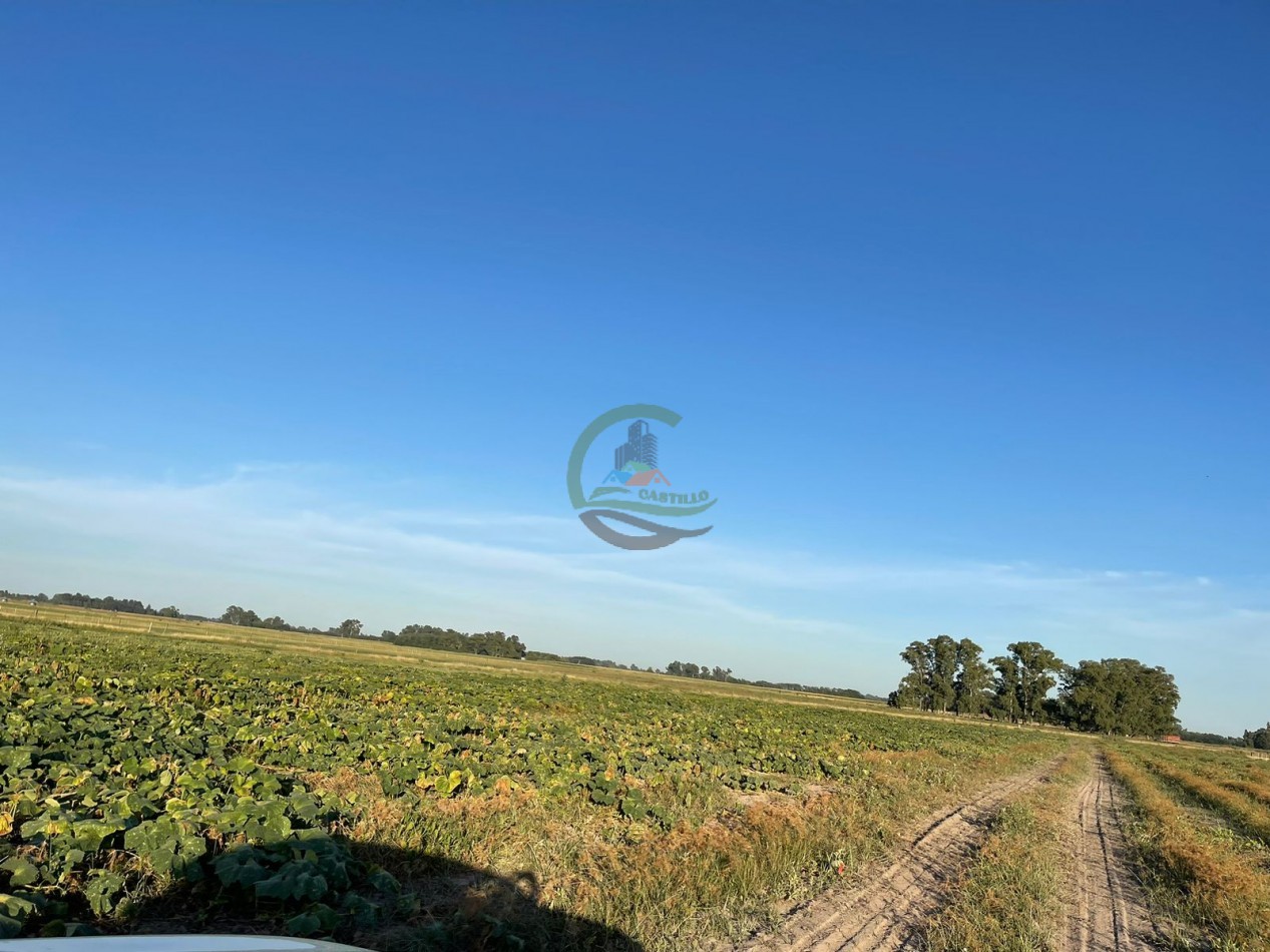18 ha Mixtos - Pedernales