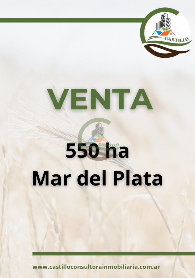 550 ha agricolas - mar del plata