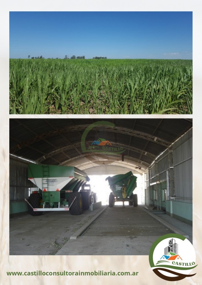 1912 ha agricolas - Cordoba