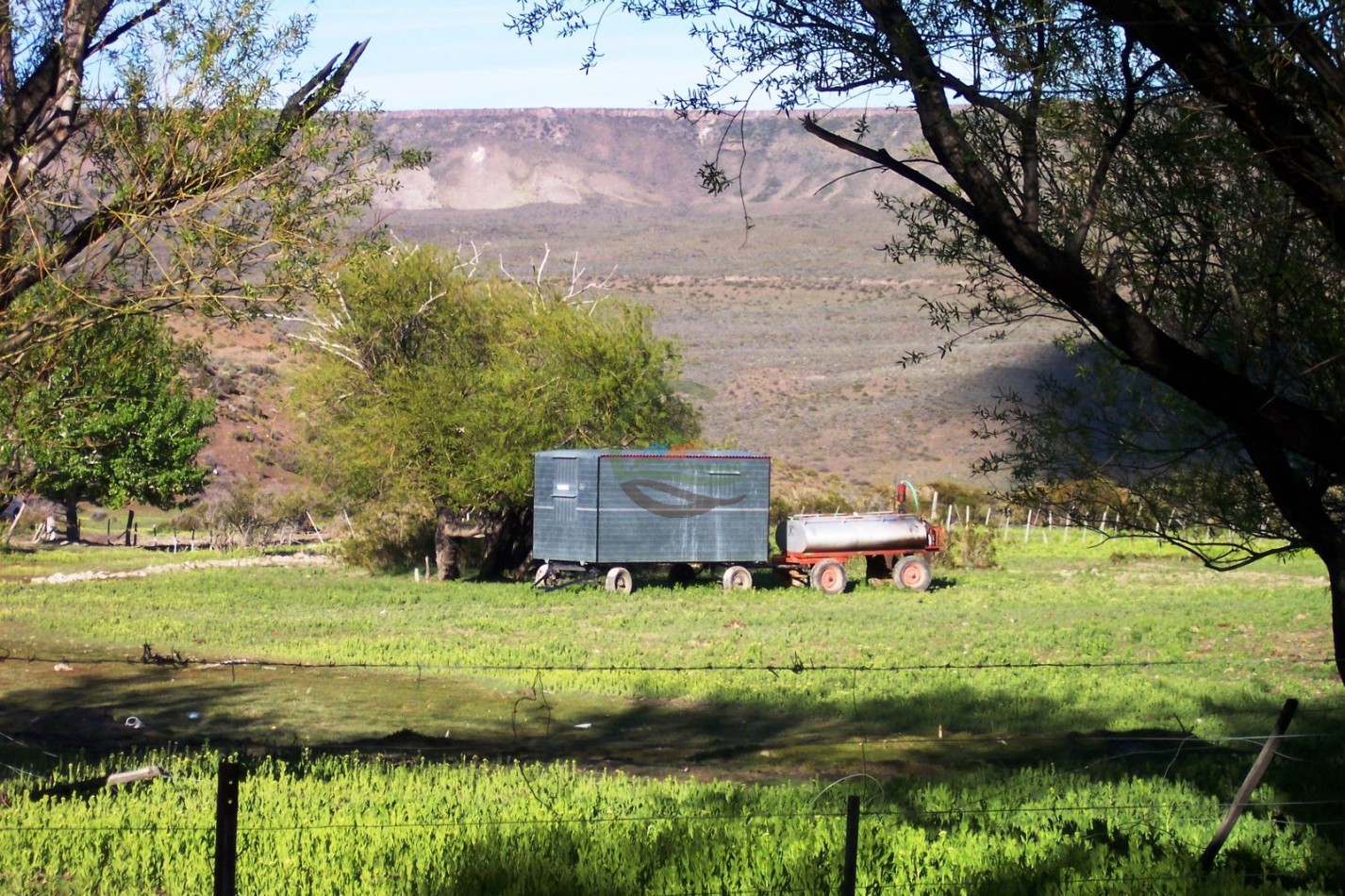 93000 ha Ganaderas - Pasos de los Indios - Chubut