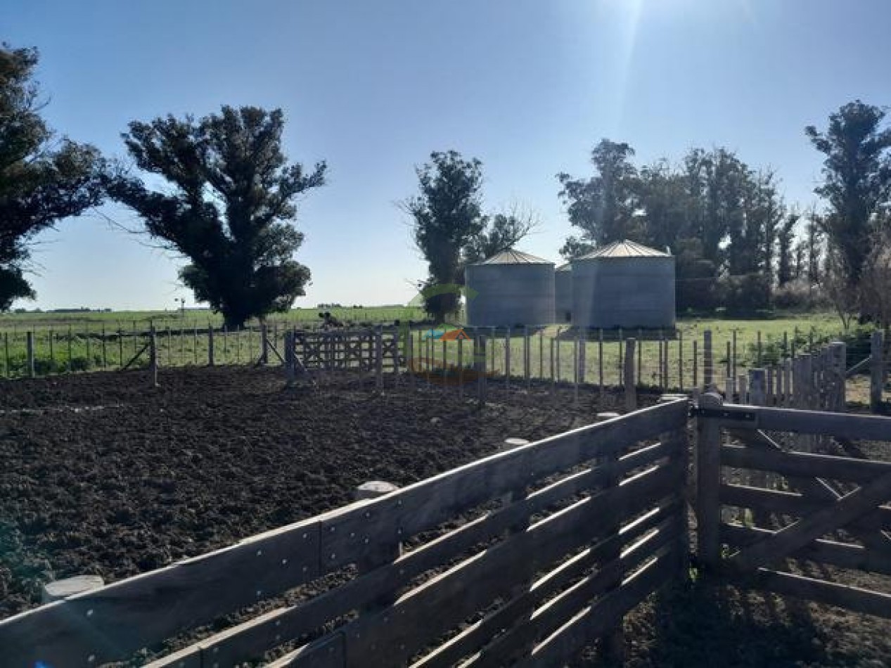 324 Ha Agricolas - San Cayetano
