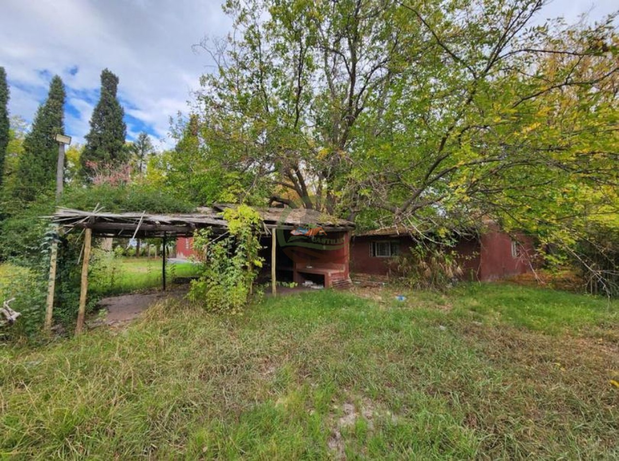 80 Ha Agricolas - San Martin - Mendoza