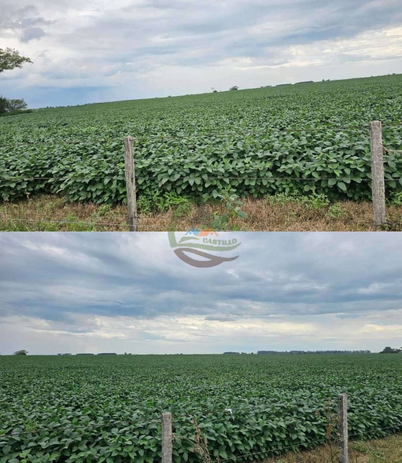 192 Ha Agricolas - General Pinto