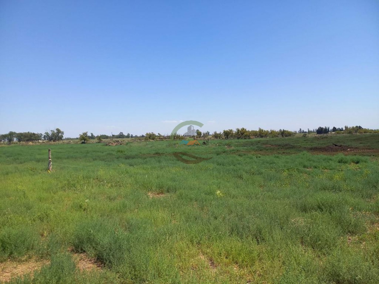 25 Ha Agricolas - Holmberg - Rio Cuarto