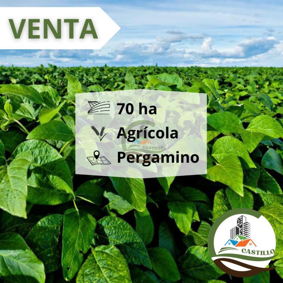 65 ha agricolas - pergamino