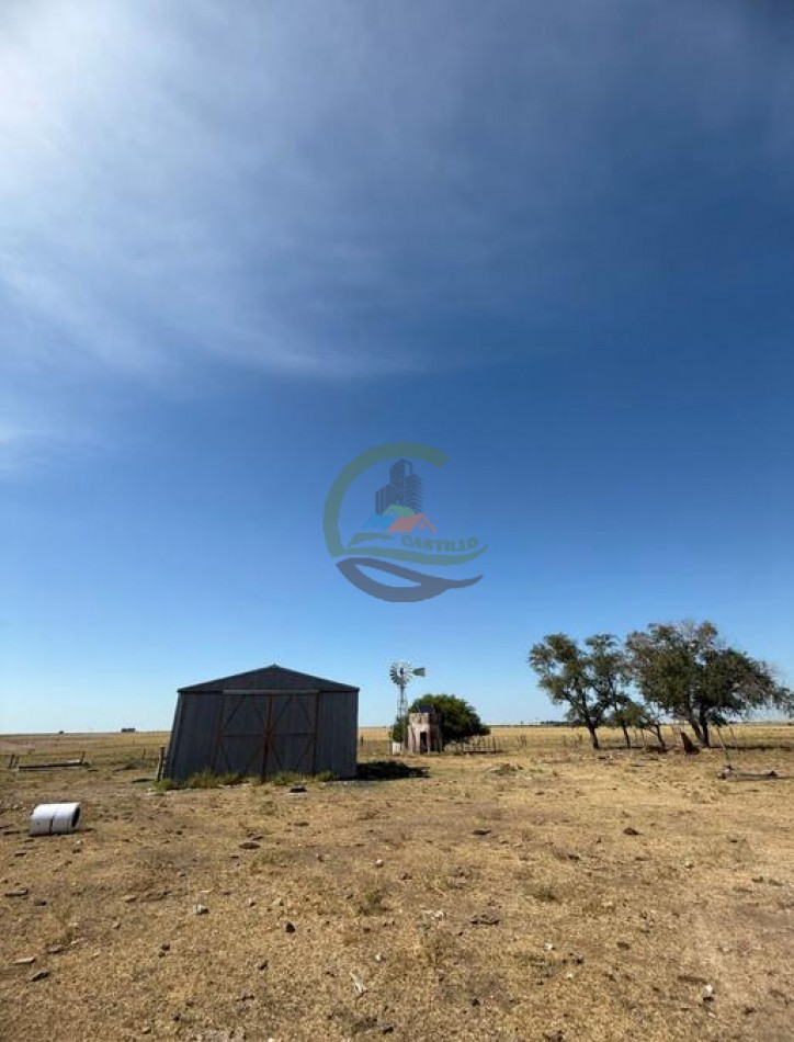 200 Ha Ganadero - Villa Iris - Buenos Aires