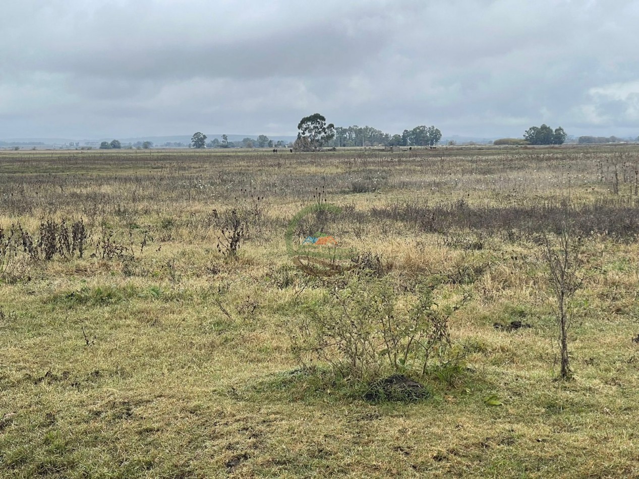 47 ha Ganadera - Olavarria