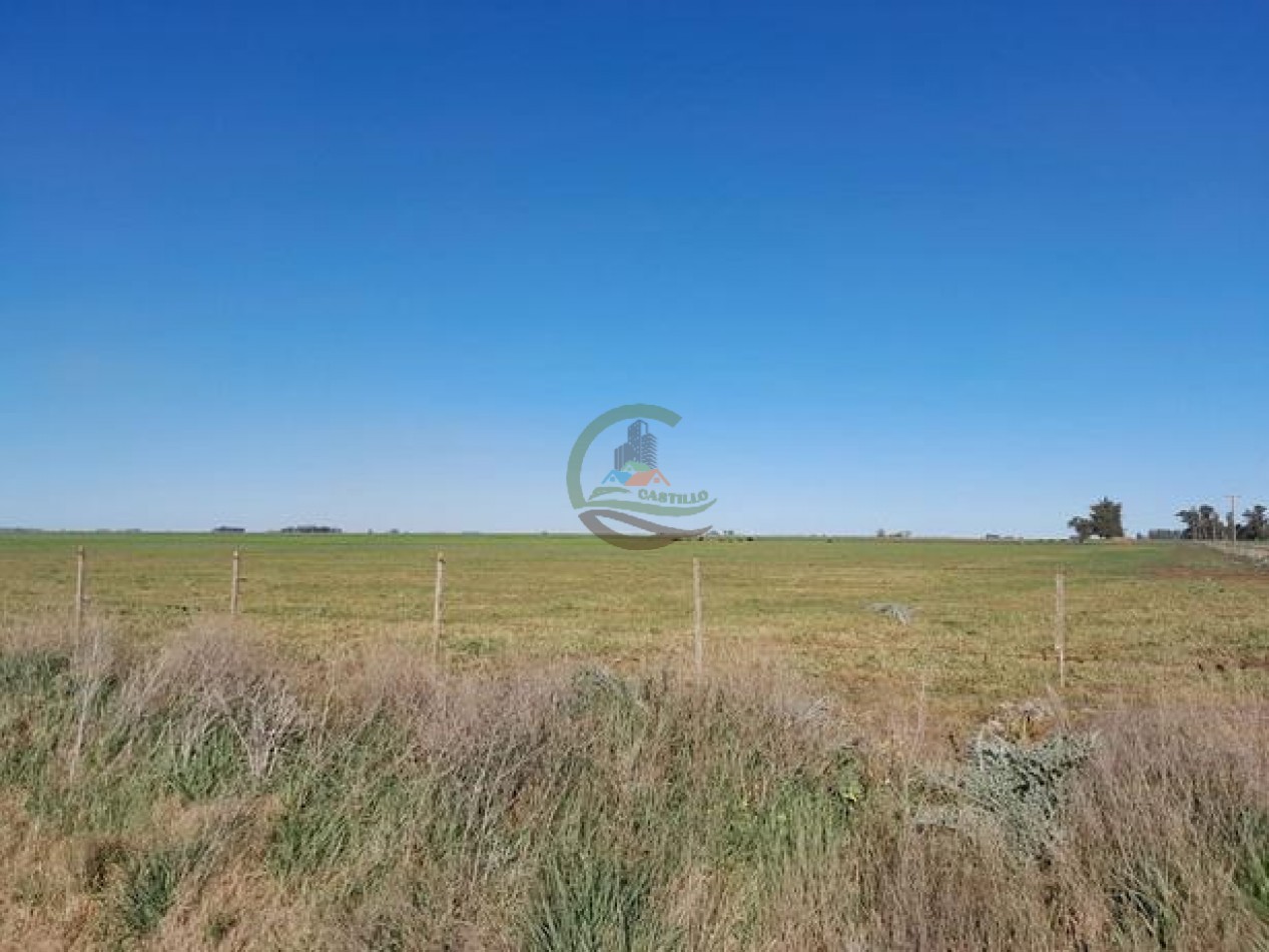 324 Ha Agricolas - San Cayetano