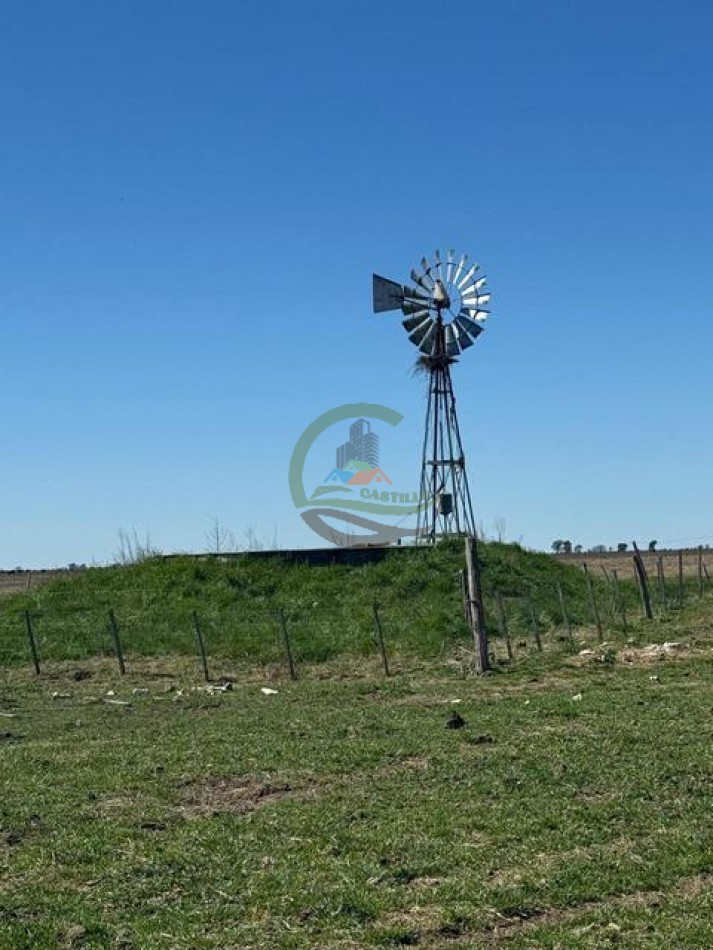 490 Ha Ganadero - Carmen de Areco