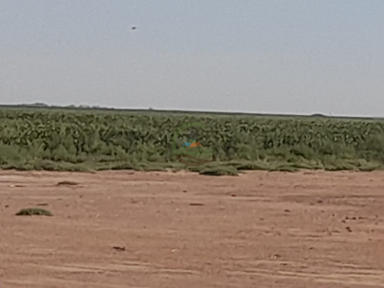 2200 Ha Agricolas - Laboulaye - Cordoba
