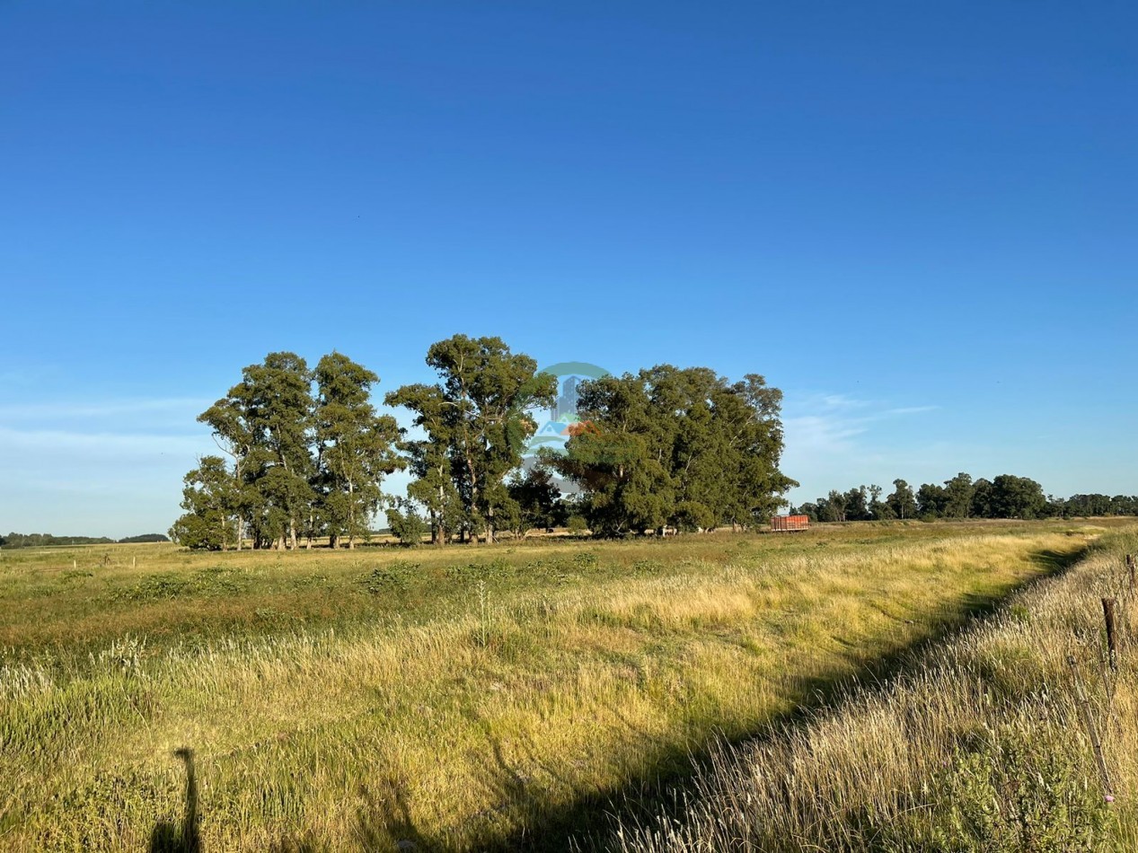 18 ha Mixtos - Pedernales