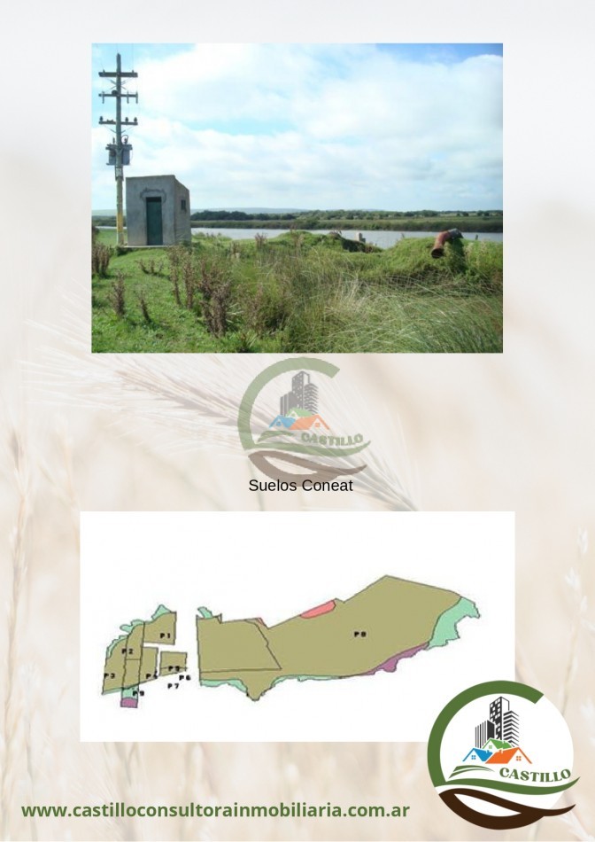 2109 ha mixtas - uruguay