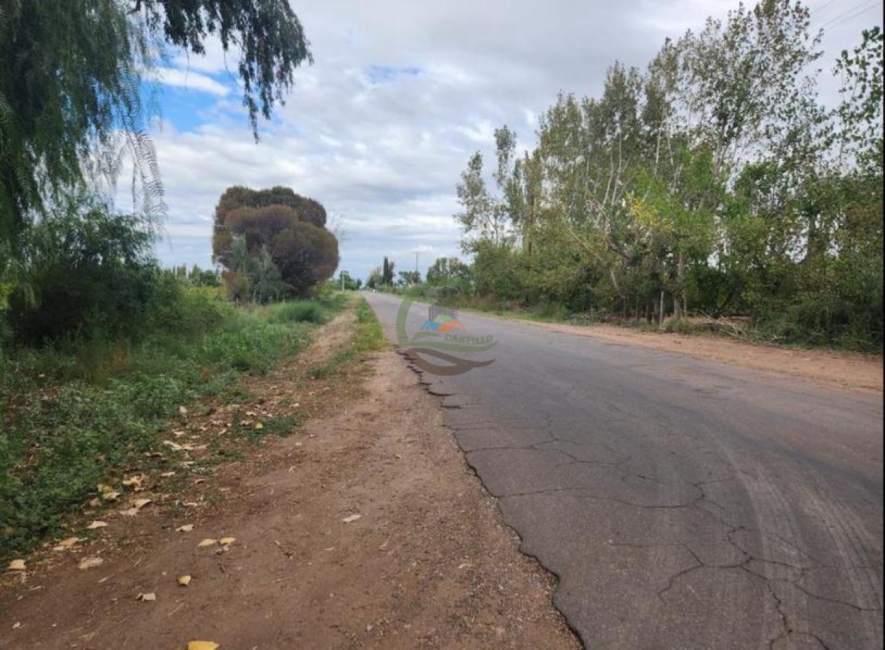 80 Ha Agricolas - San Martin - Mendoza