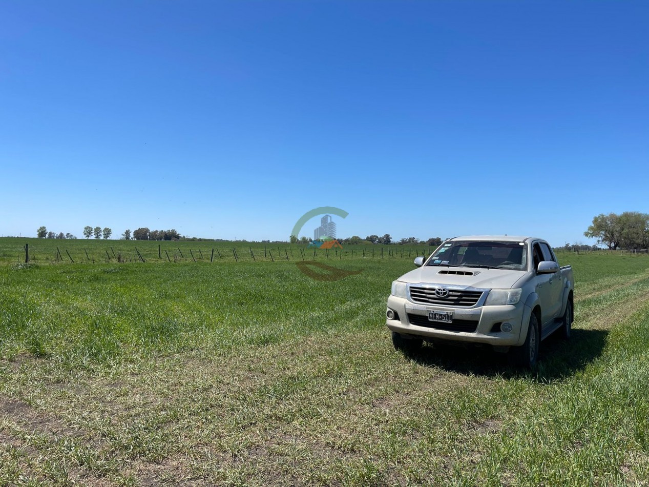 102 ha Agricolas - 25 de Mayo 