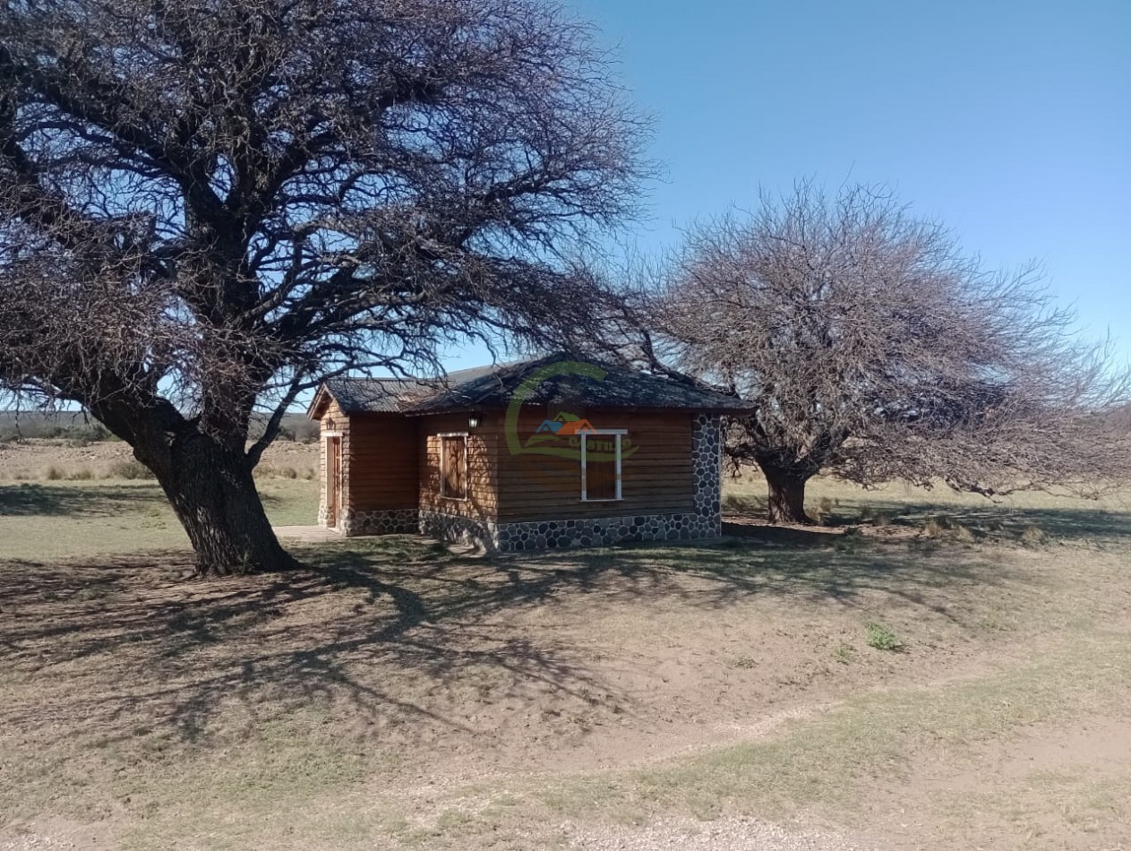 2500 ha Coto de caza - Quehue - La Pampa