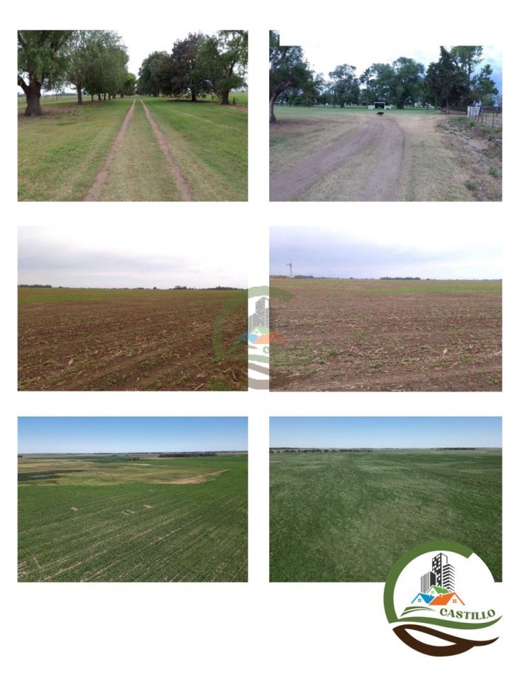 675 ha Mixtas - Carlos Casares