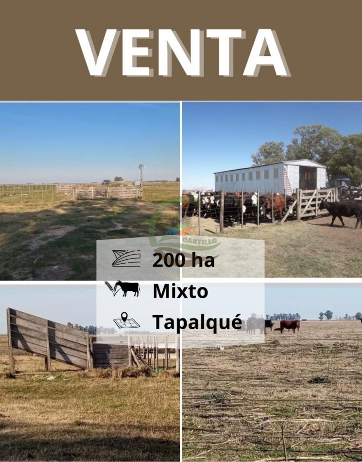 200 ha MIxtas . Tapalque 