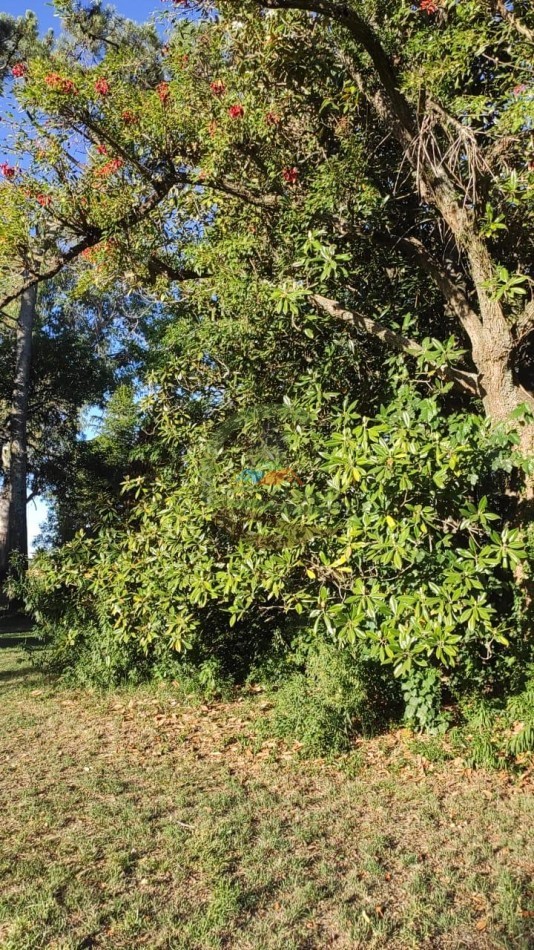 23 ha agricolas - chivilcoy