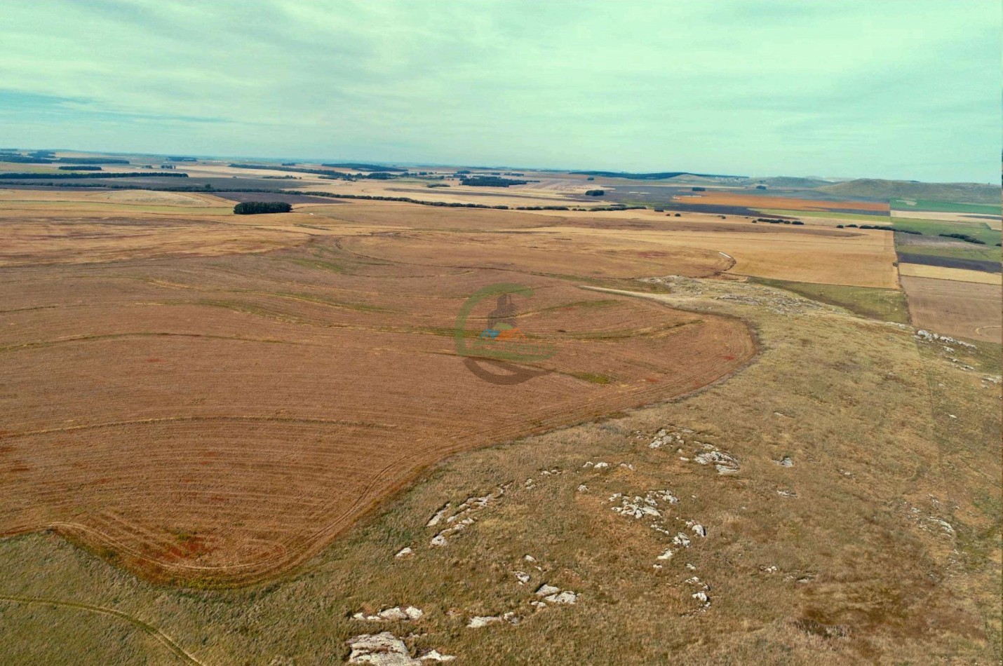 1007 Ha Agricolas - Tandil