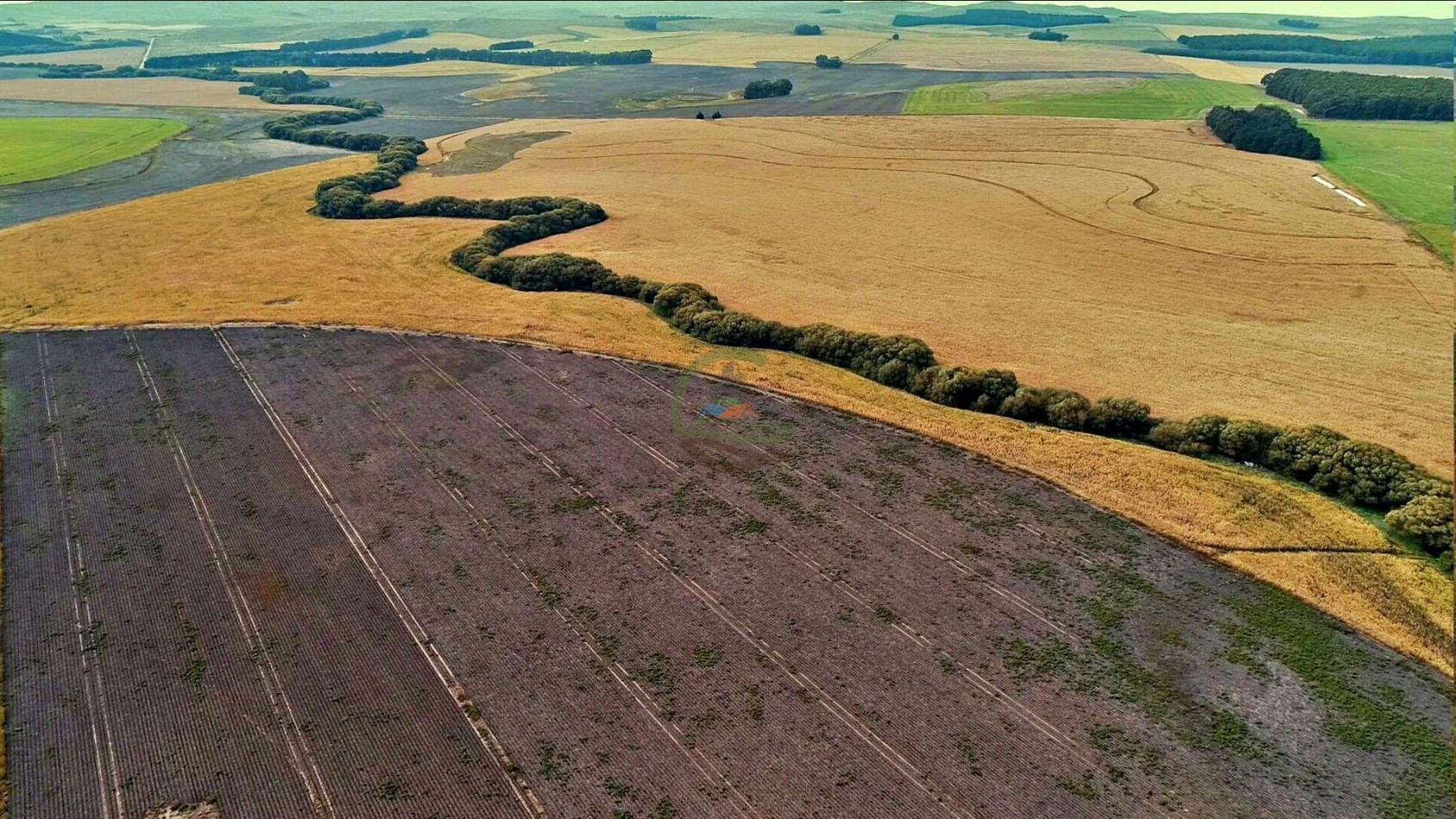 1007 Ha Agricolas - Tandil