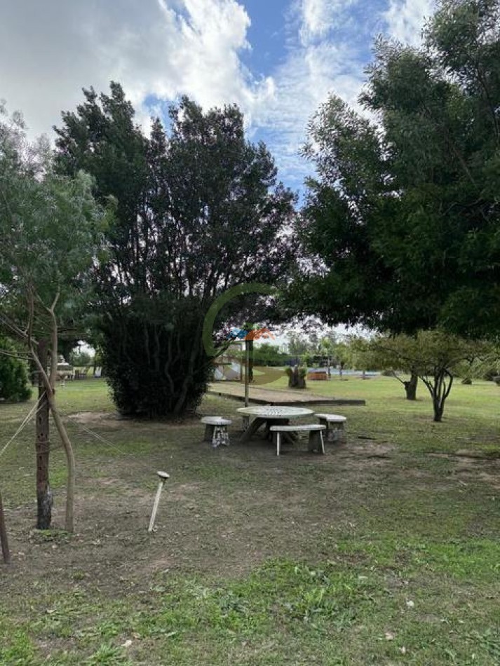 59,5 Ha Agricolas - Polvaredas - Saladillo
