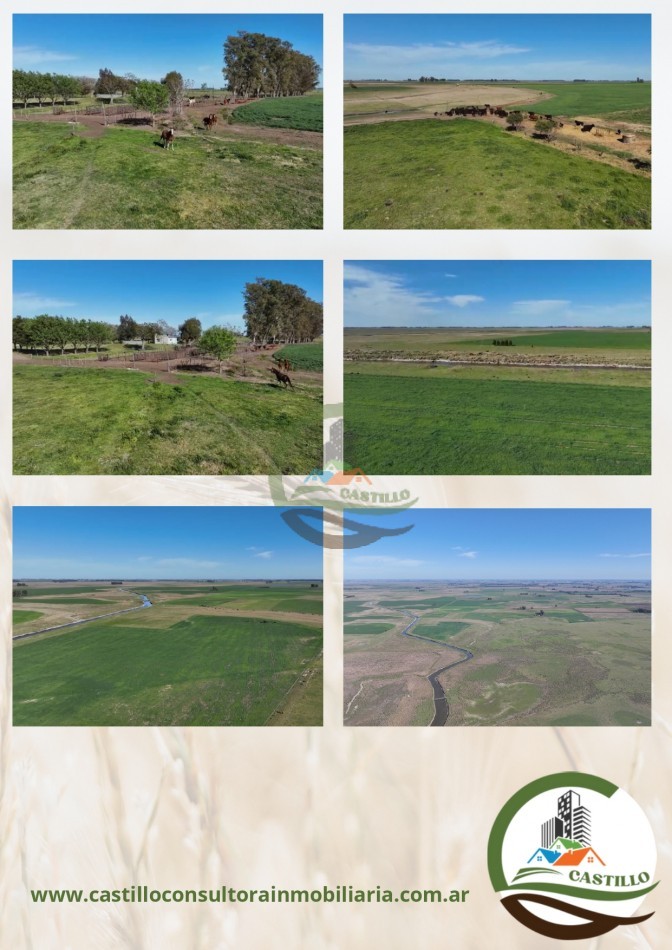 168 ha mixtas - bragado