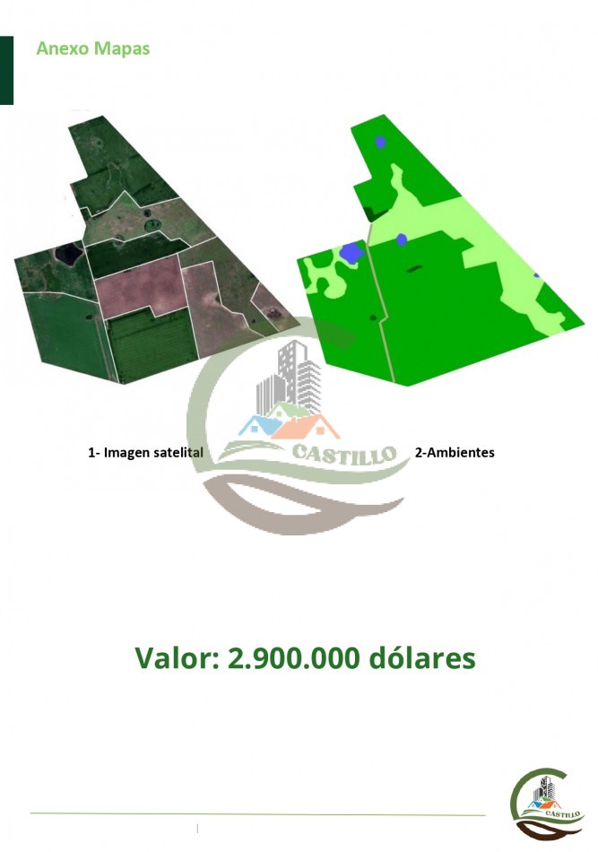 315 ha Mixto - Balcarce