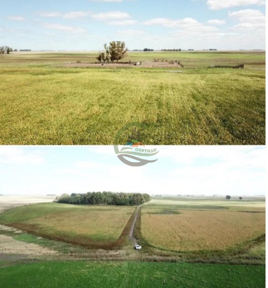 5382,89 Ha Mixtas - Tapalque