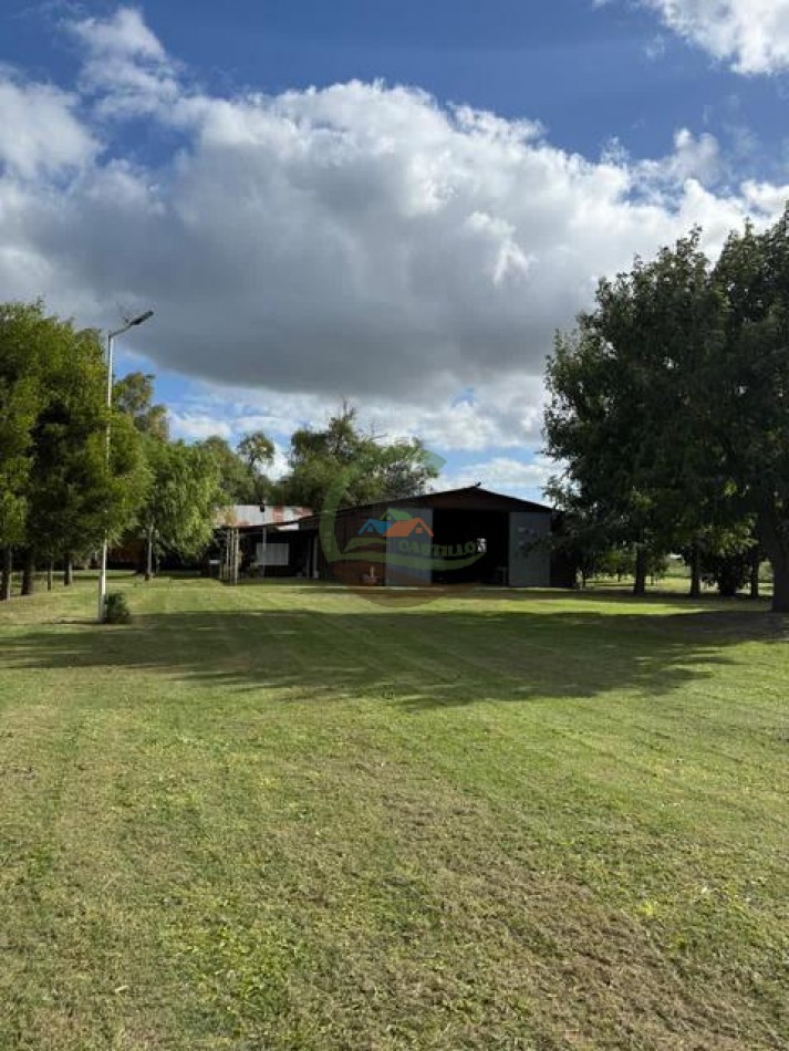 59,5 Ha Agricolas - Polvaredas - Saladillo