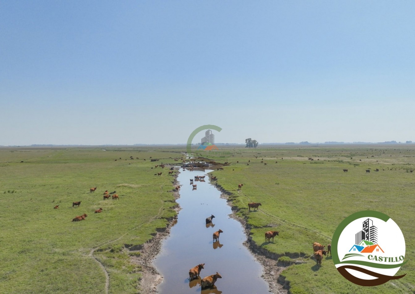 3275 ha ganaderas - general alvear