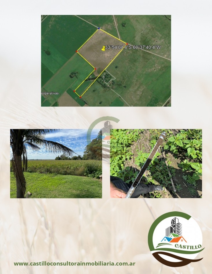 39 ha agricolas - pergamino