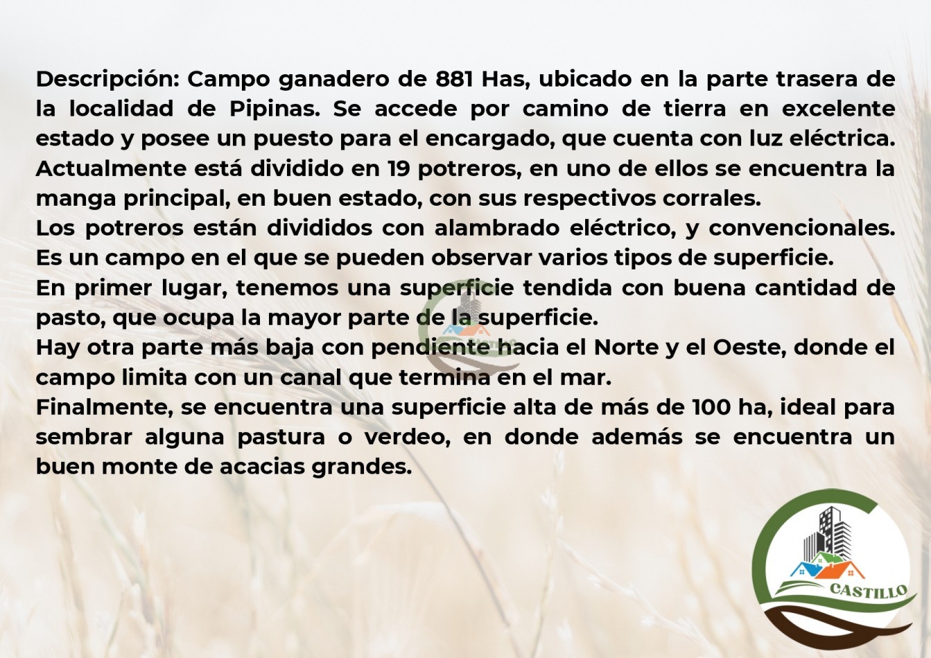 881 ha ganadero . punta indio