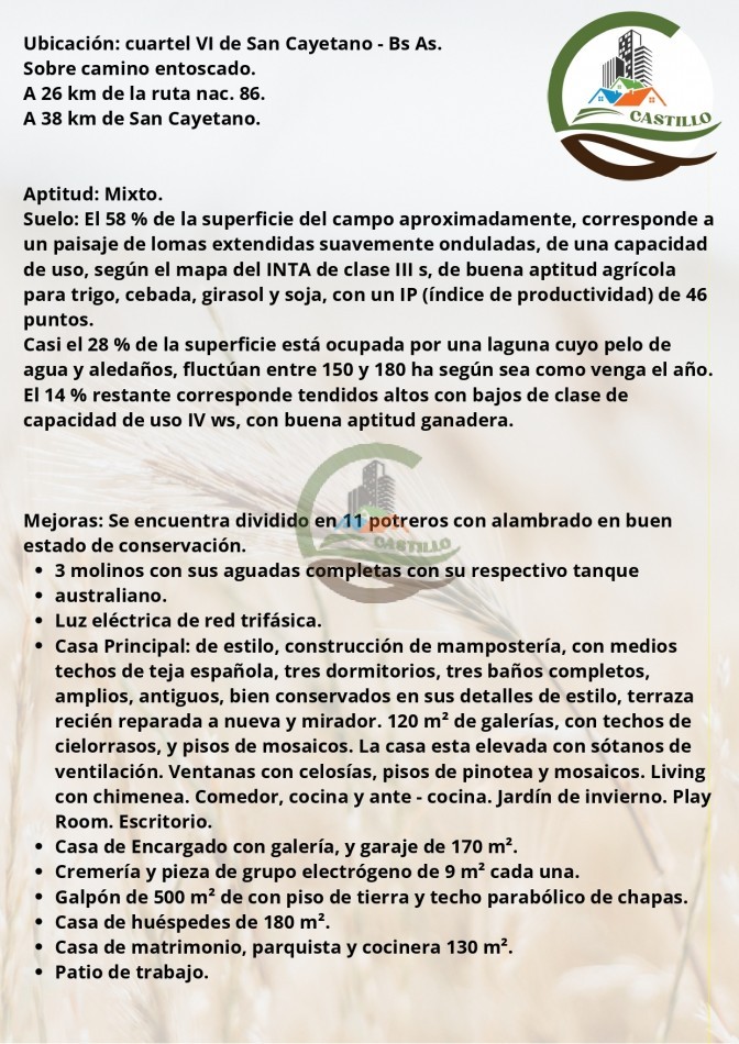 650 ha mixtas - san cayetano