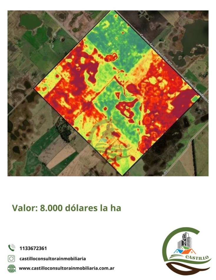 675 ha Mixtas - Carlos Casares