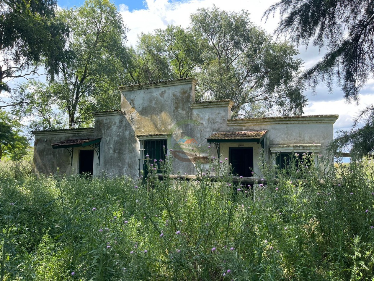 109 ha Feed Lot - Las Flores