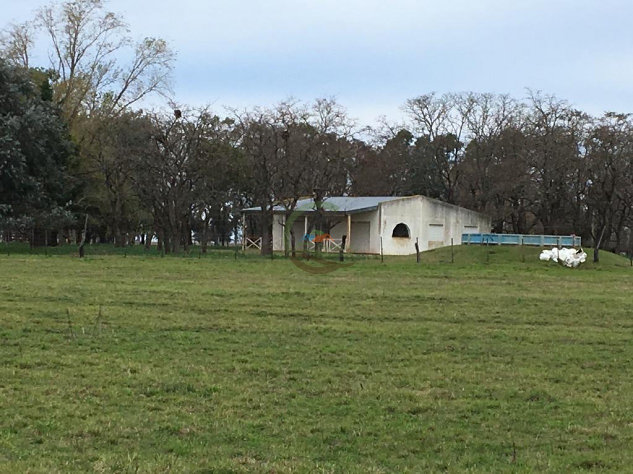 380 ha Mixtas - Bolivar