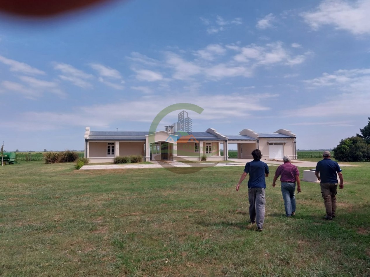 515 ha MIxtas - Pergamino