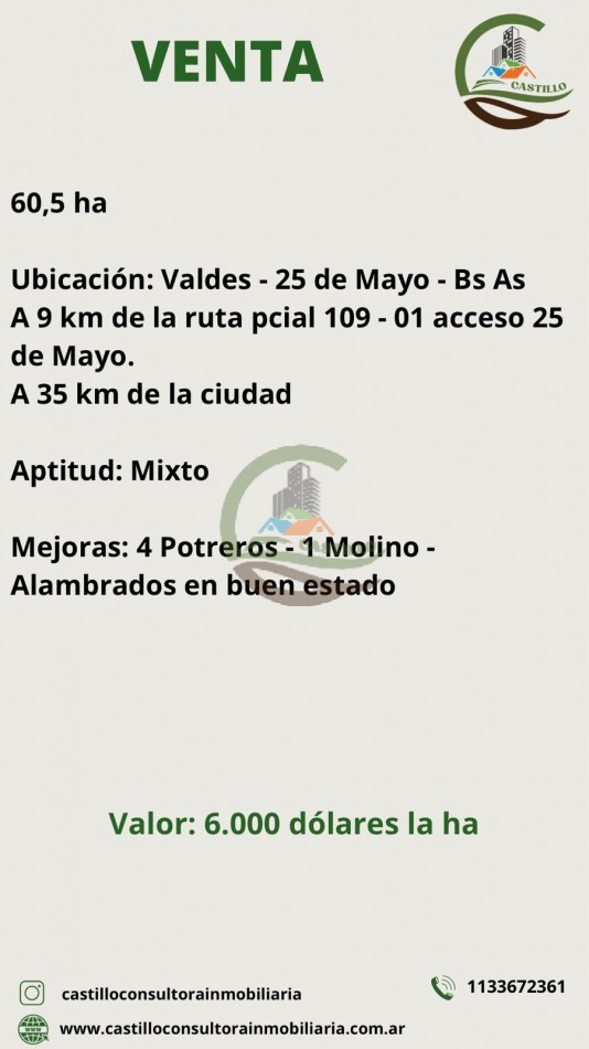 60,5 ha Mixto - 25 de Mayo
